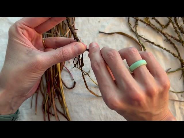 Dandelion Cordage