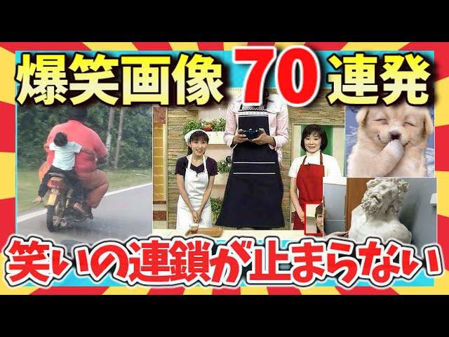 【爆笑】腹筋崩壊！見れば絶対笑える爆笑画像70連発！ガルちゃん厳選/2ch/ゆっくり