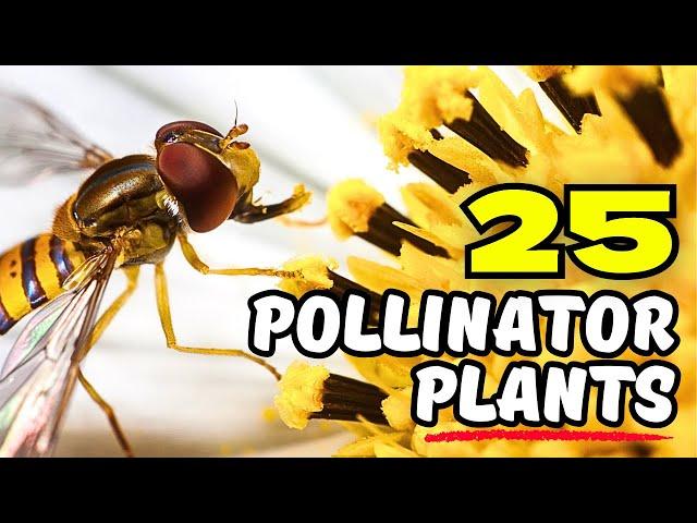 25 Pollinator Plants That Will Turn Your Garden into a MAGNET for Wildlife! 