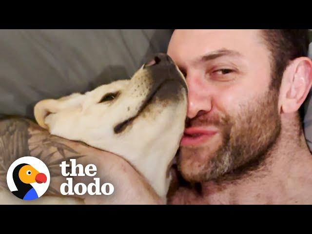 Guy Rescues Lab Puppy In The Middle Of The Night | The Dodo