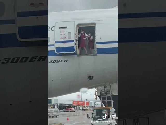 Air hostesses trying to close door  #shorts