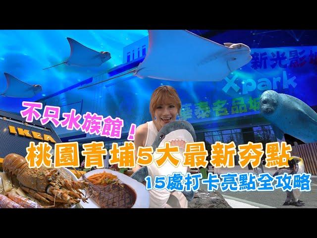 不只水族館！桃園青埔5大最新夯點 15處打卡亮點全攻略【食尚小編出任務】