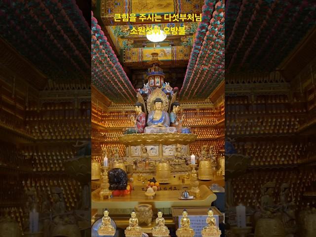 #백천사#오방불#소원성취 #나무아미타불 #korea #사찰순례