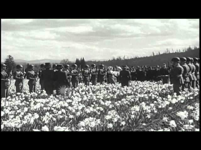 Women pick up daffodils from the garden and the couple exchange rings during a we...HD Stock Footage