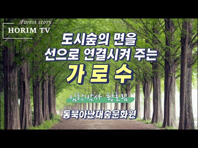 가로수와 가로수림, 동북아난대숲문화원, HORIM-TV