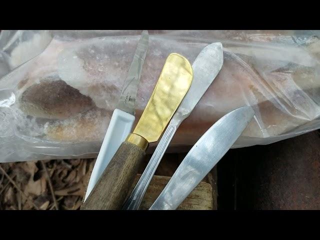 12 Year olds makes raised bed, learn to grow food, cook, scale fish plus tools child needs by age