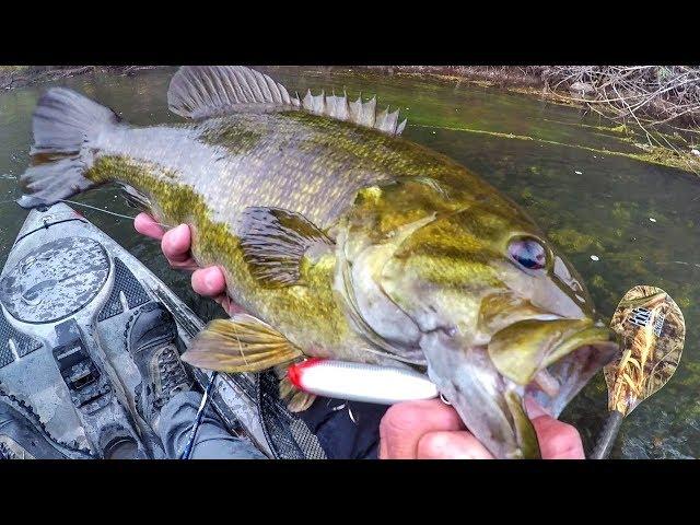 Topwater Fishing Giant Fall Smallmouth