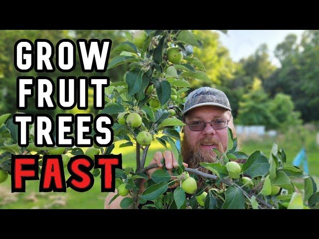 How to Quickly Grow Fruit Trees in the Backyard Orchard