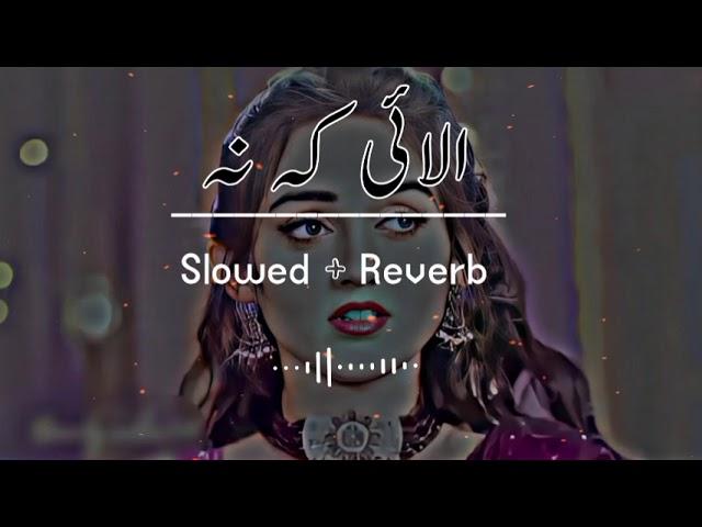 Alai KaNa (Slowed+Reverb) Pashto Song | Sad Song | Lofi Song | New Song 2022