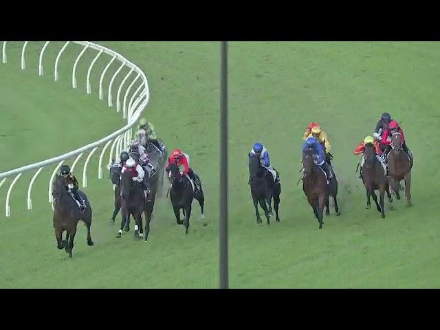 VILANA WINS THE 2024 MORETON CUP AT EAGLE FARM