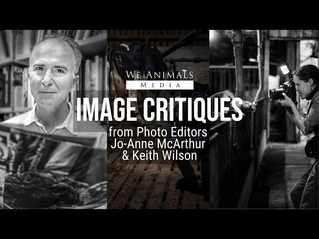 Image Critiques by Photo Editors Jo-Anne McArthur & Keith Wilson