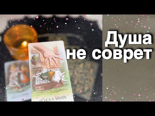 ️Нужны ли вы ему... Все о его ЧУВСТВАХ к Вам...  ️️ таро расклад ️ онлайн гадание️Alice Tarot
