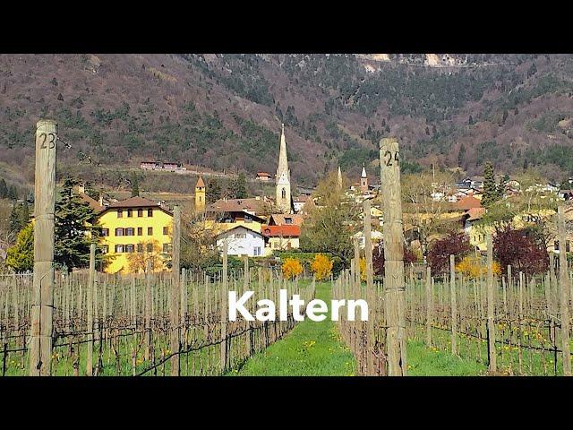 Durch Zufall hier gelandet! - Kaltern an der Südtiroler Weinstraße ...