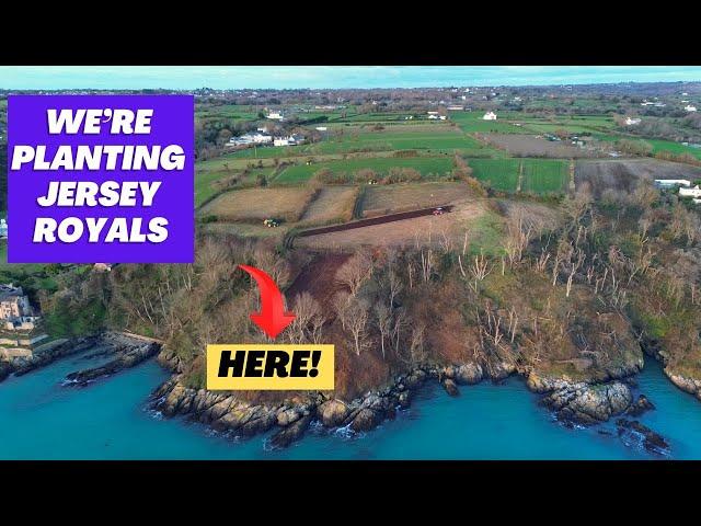 Planting Jersey Royal potatoes on the coast, we are SO close to the sea. You can even see France!