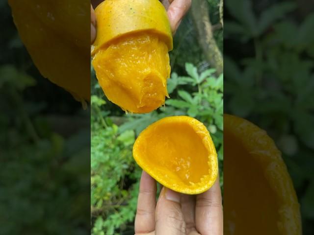 special fruit#fruit #mango #shorts