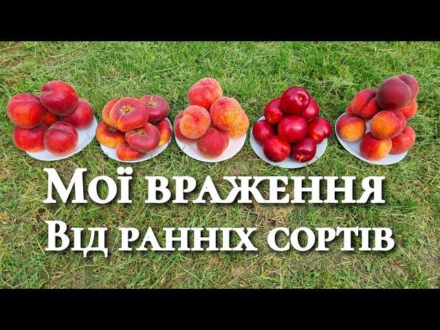 Що обрати собі в сад. Гарні сорти для доброго господаря.