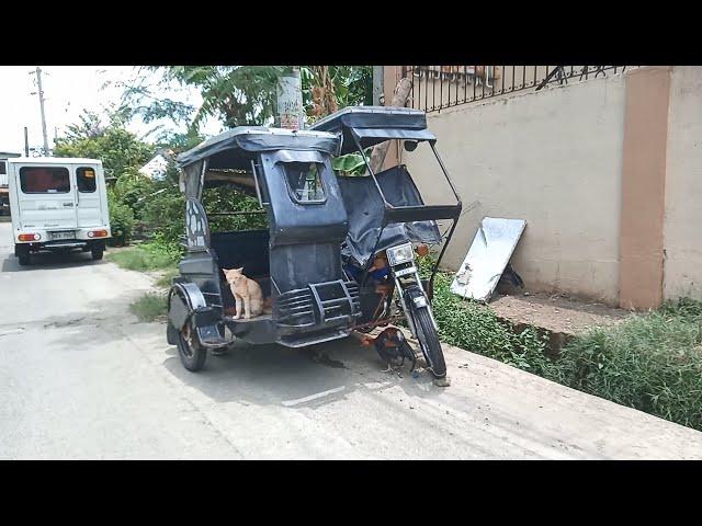  Authentic Trike Ride Experience Through San Carlos, Binangonan, Rizal - Pure Filipino ASMR