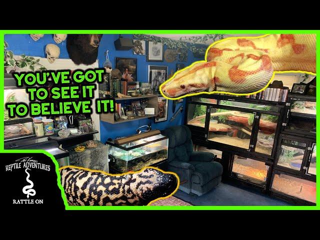 THE GREATEST REPTILE ROOM IN THE COUNTRY!