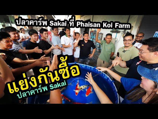 ไปแย่งซื้อปลา Sakai ที่ Phaisal Koi Farm