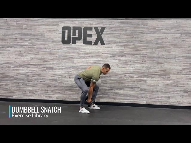 Dumbbell Snatch