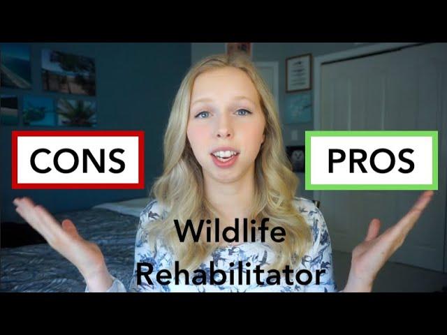 Pros and cons of being a wildlife rehabilitator and how I became one