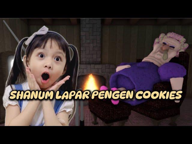 SHANUM DIKEJAR GRANMA KARENA MAKAN COOKIES DIAM DIAM GRUMPY GRAN!(SCARY OBBY), ROBLOX [INDO]