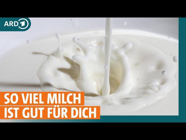 Milch, Käse und Co: So viel ist gesund I ARD Gesund