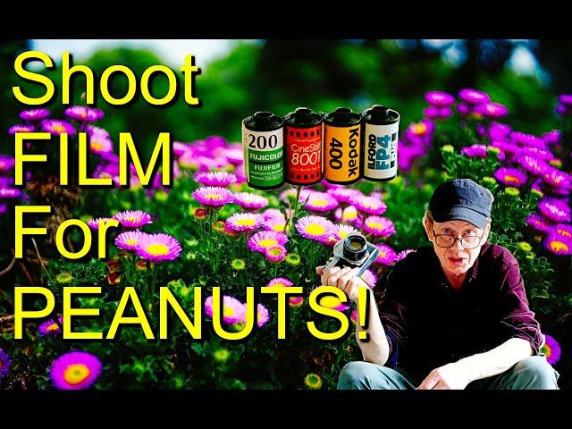 12 Film Cameras  AND LENSES - FOR PEANUTS!