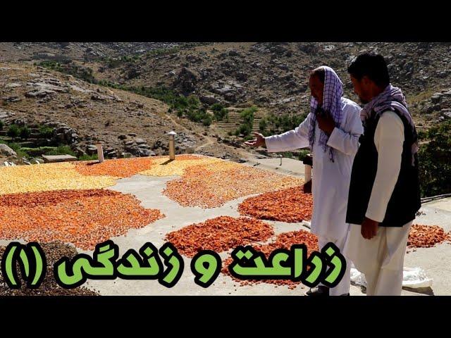 بندهای آب روی «زراعت و زندگی» مردم چه تاثیرات داشته است (قسمت اول)