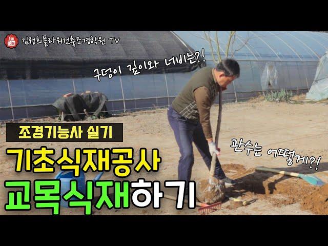 조경기능사 실기 완벽대비｜교목식재하기｜기초식재공사