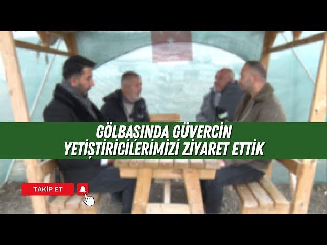 GÖLBAŞINDA GÜVERCİN YETİŞTİRİCİLERİMİZİ ZİYARET ETTİK | GÜVERCİN SEVDAMIZ