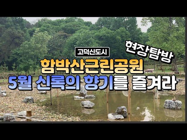 고덕신도시 함박산근린공원5월 신록의 향기 묻어나는힐링코스 현장탐방