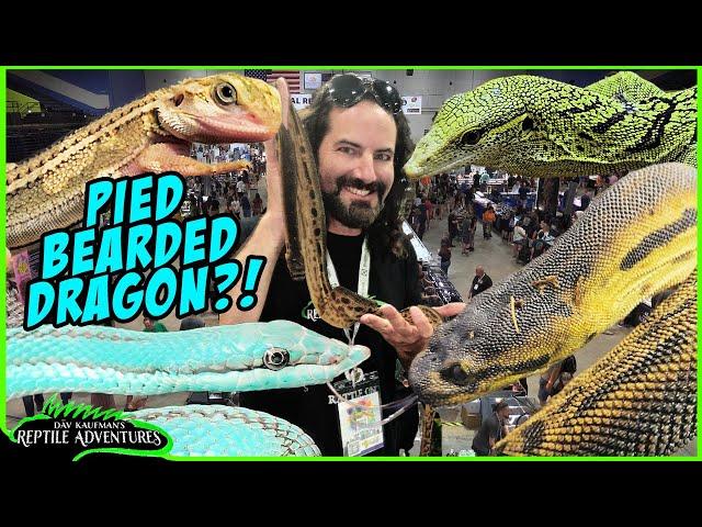 DAYTONA REPTILE BREEDERS EXPO 2024!