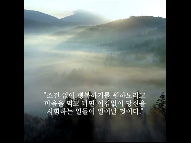 1분 명상 /마이클 싱어 / 상처 받지 않는 영혼/  16일_ 조건 없이 행복하기