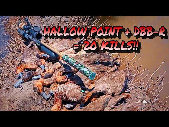 TACTICAL FIRST BLOOD KILLS 20 WILD DUCKS!! | WILD DUCK HUNTING | X4 RAF HUNTER EP86 | #hunting