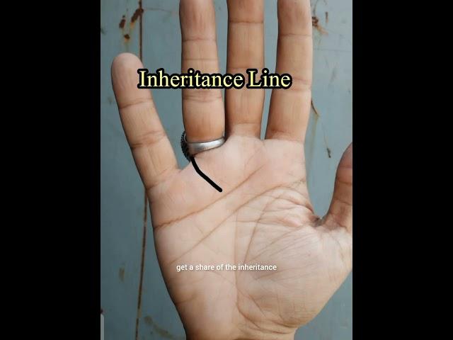 Inheritance Line #youtube #youtubeshorts #youtuber #youtubevideo #youtubechannel #viral #palmistry