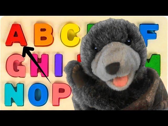 ABC Mix-Up! Fun with Letters A-Z (Tree Bear!)