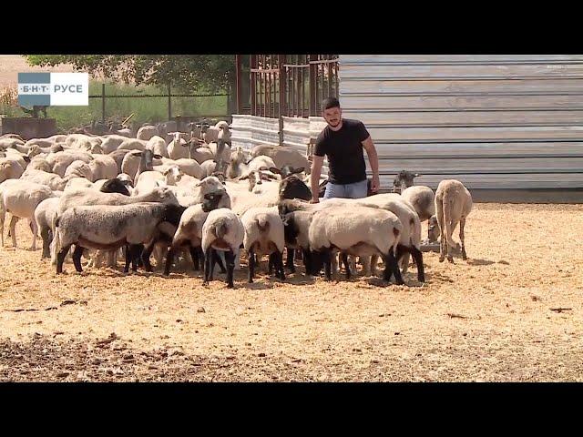 "ЗАЩО БЪЛГАРИЯ" - ОТ СЕЛО БЪЗЪН ДО ВИЕНА И ОБРАТНО - ТАМЕР ЮСЕИНОВ   13.10.2024