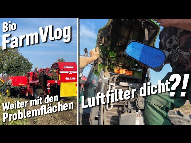 Kartoffeln roden  kraut abschlagen - hafer laden & mehr / Vlog 126