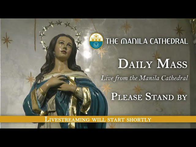 Daily Mass at the Manila Cathedral - November 09, 2021 (7:30am)