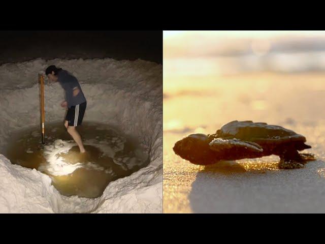 Police Warn Against TikTok Trend of Digging Big Holes on Beaches