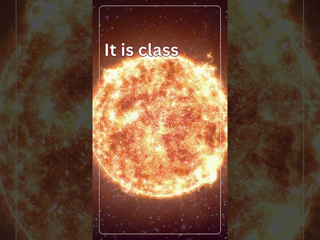 "Sun Shorts: Unveiling the Fiery Heart of Our Solar System ️"