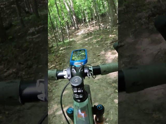 (Niner RKT W/Drop Bars) - Woolly Mountain Bike Trails - "FLOWY" Section #mtb #singletrack #mtbtrails