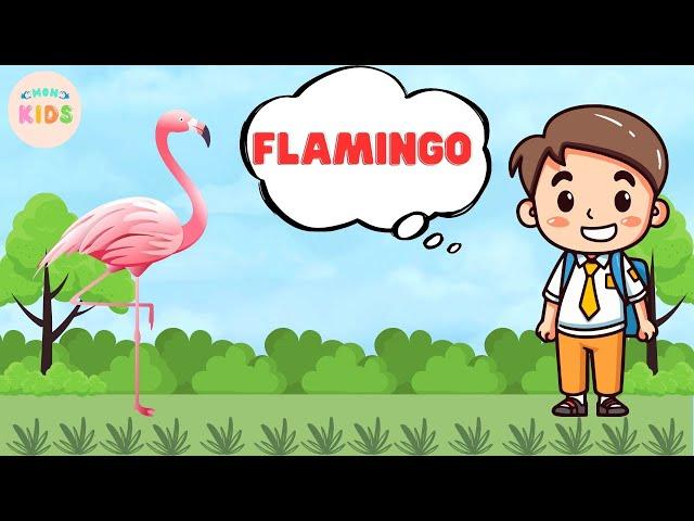 Flamingo Facts For Kids  Learn All About Flamingos | MON Kids