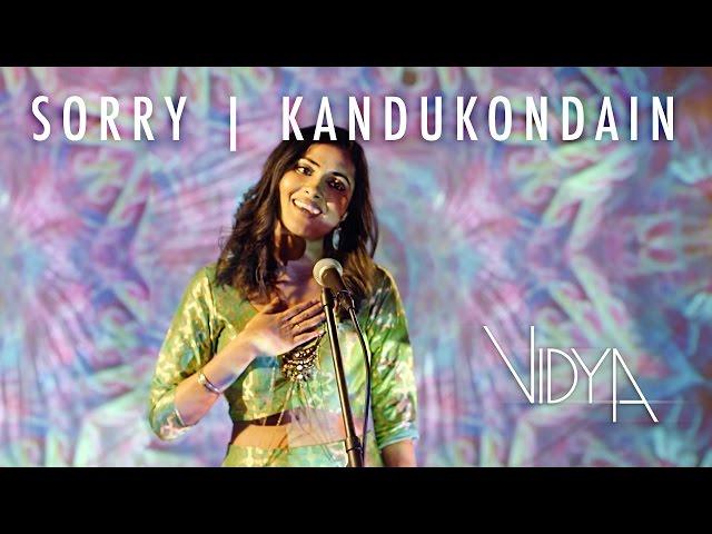 Justin Bieber - Sorry | Kandukondain Kandukondain (Vidya Vox Mashup Cover)