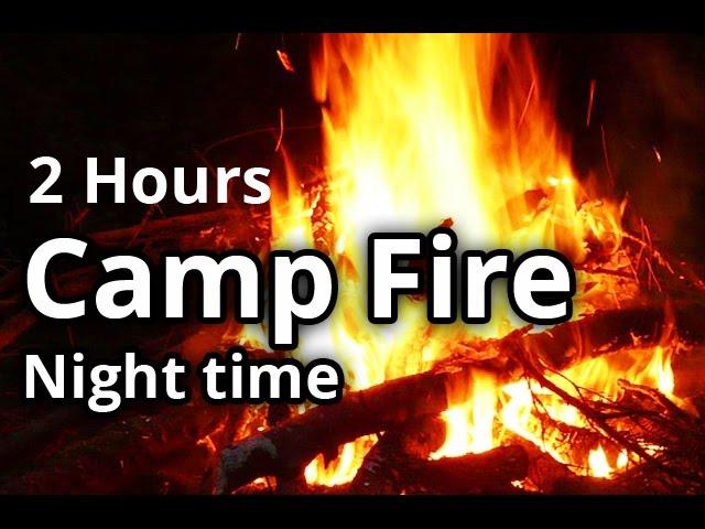 Virtual Campfire Video - Fire in the Woods - Meditation, Sleep Sounds - 2 Hours HD