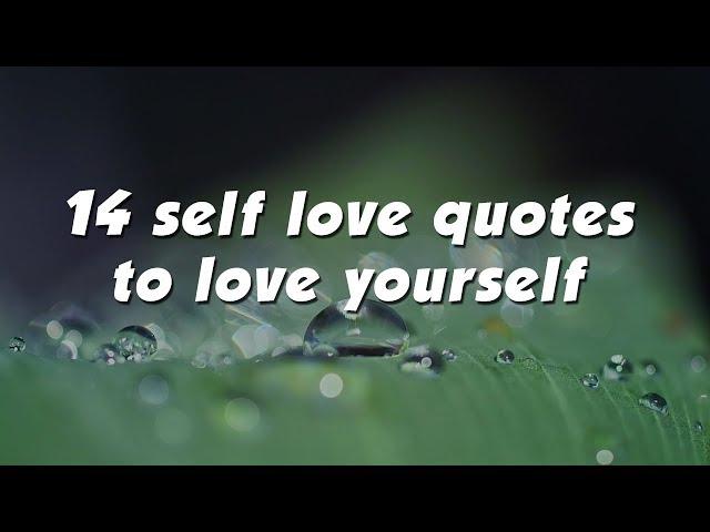 14 self love quotes to love yourself and improve your self esteem