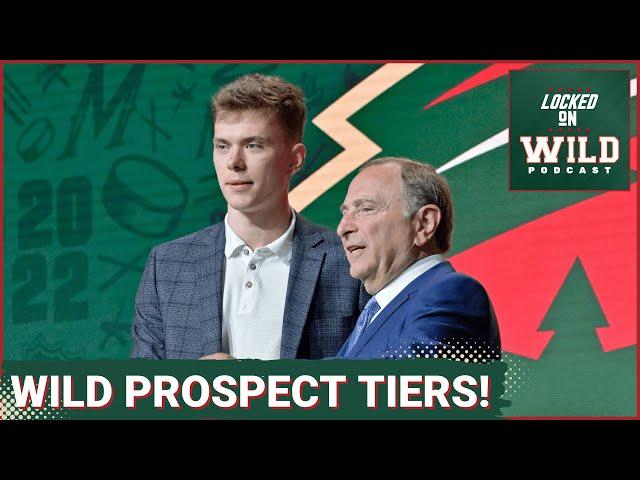 Which Wild Prospects Could Provide Biggest Immediate Impact? #minnesotawild #mnwild #nhl