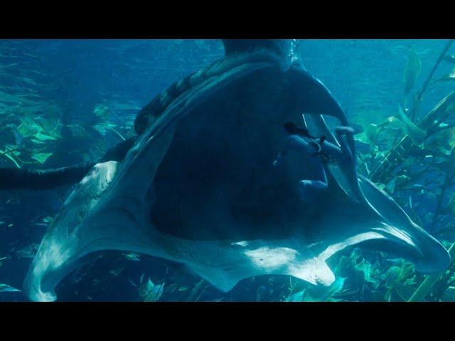 Giant Whale (Tulkun) share to Loak why he is outcast - Avatar The Way of Water #avatar #avatar2