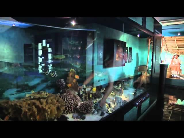 THE ROBERT WAN PEARL MUSEUM TAHITI